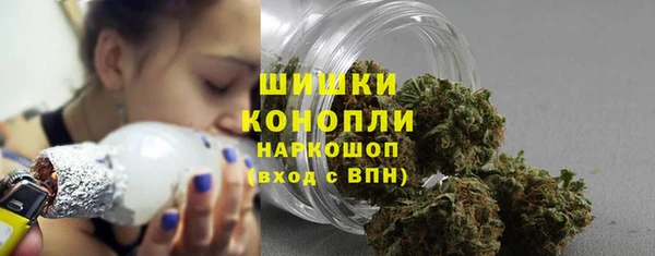 прущие грибы Армянск