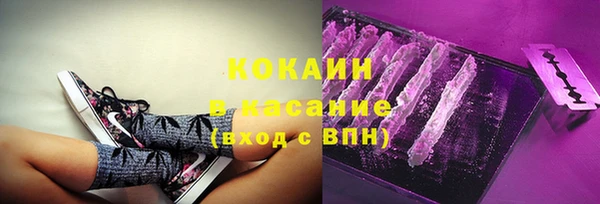 прущие грибы Армянск