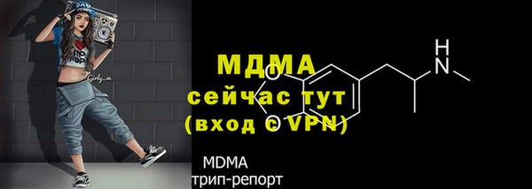 прущие грибы Армянск