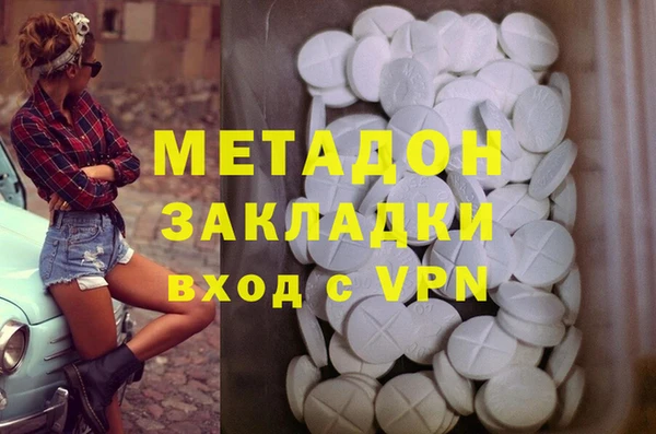 прущие грибы Армянск
